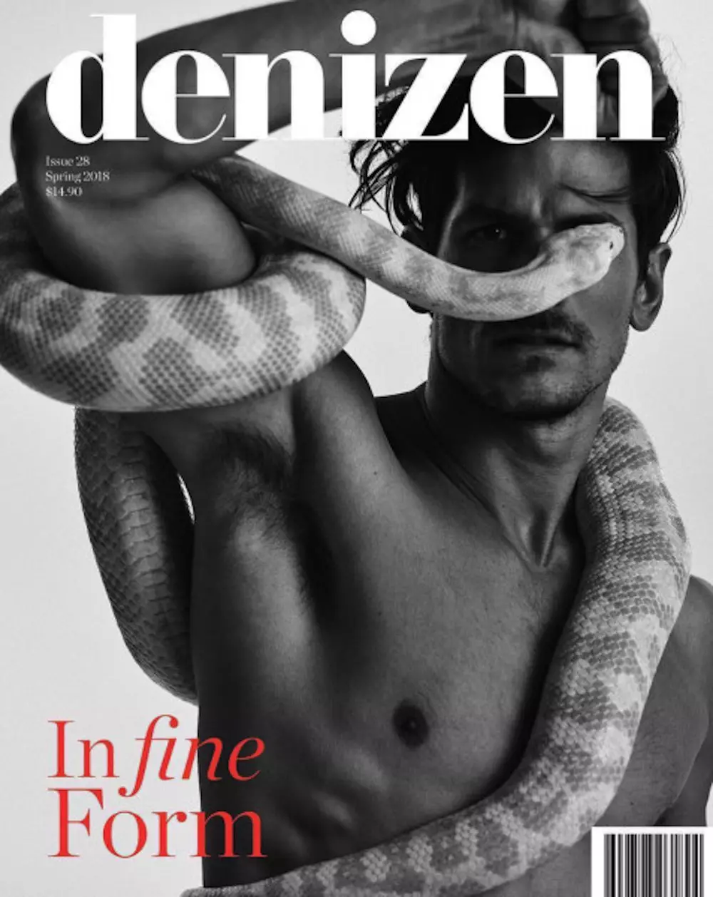 Jarrod Scott ing Cover kanggo The Denizen 13298_1