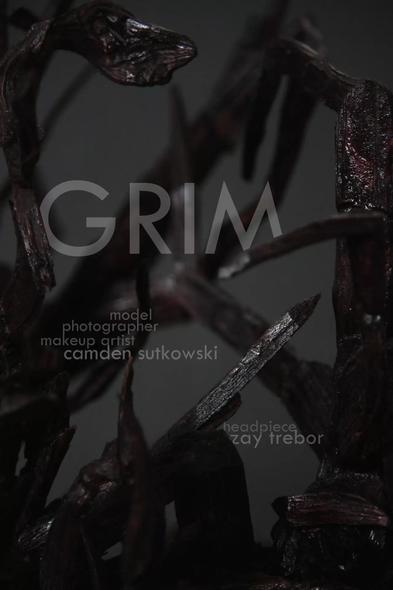 Camden Sutkowski의 GRIM