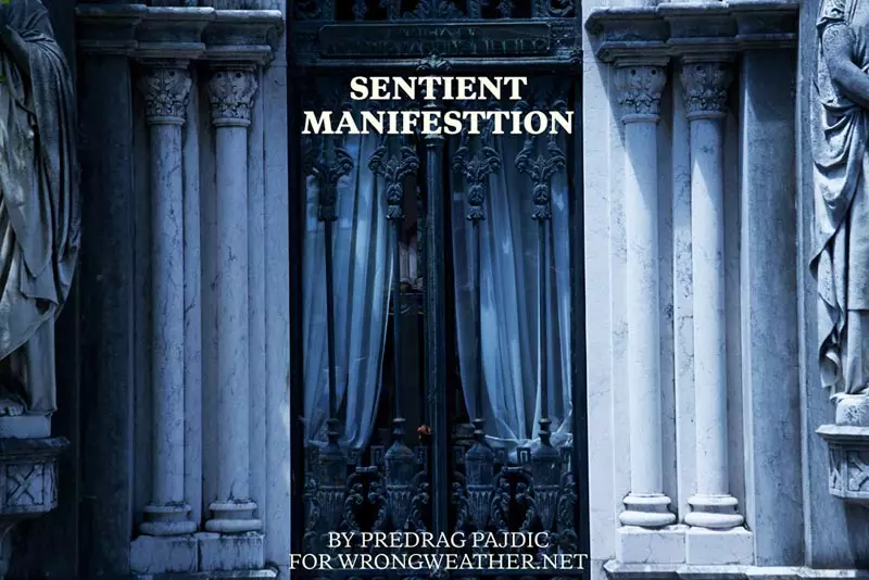 MANIFESTASI SENTIENT 16416_2