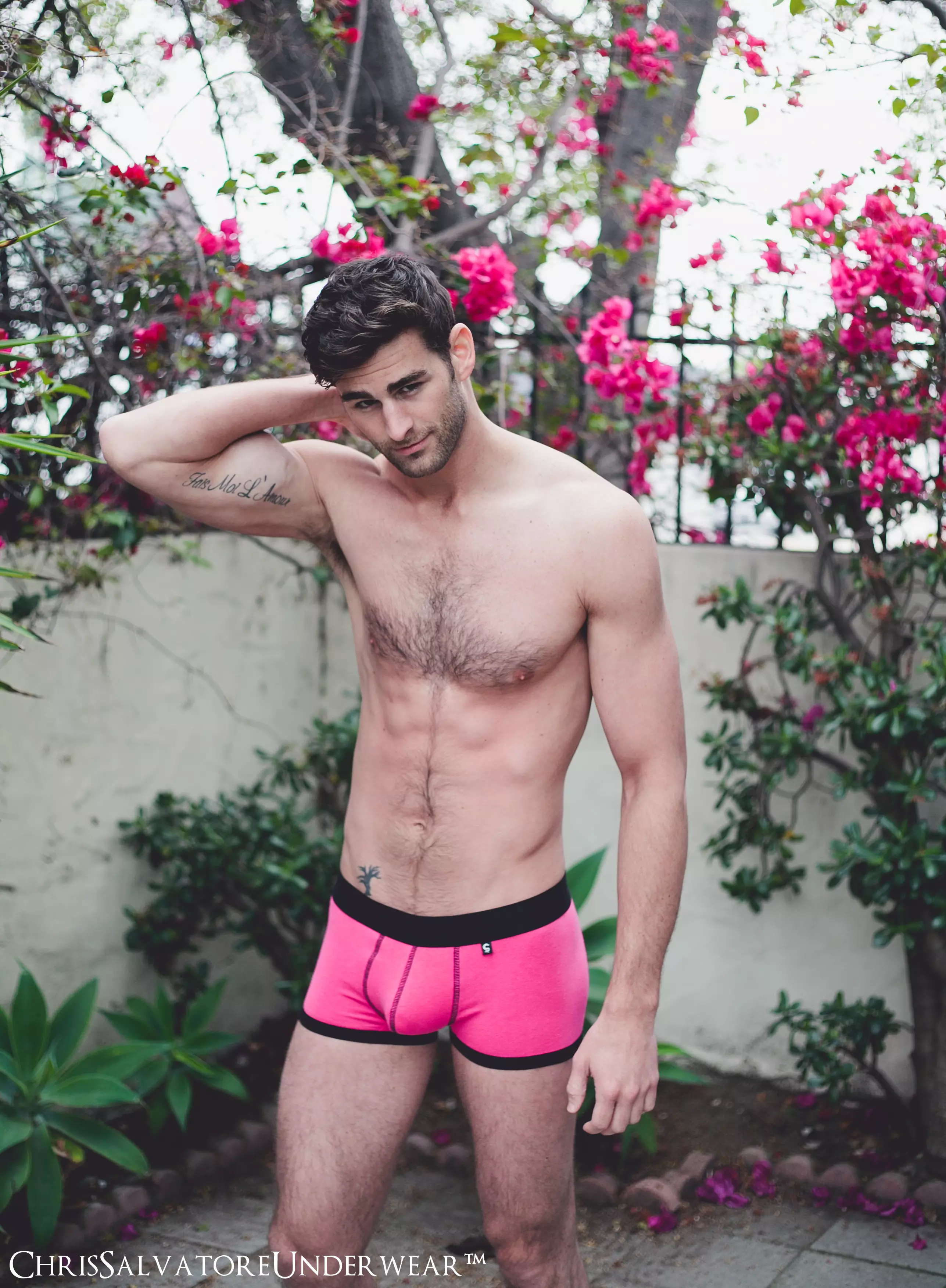 Bubblegum Pink Boxer 3 Resolusi Tinggi