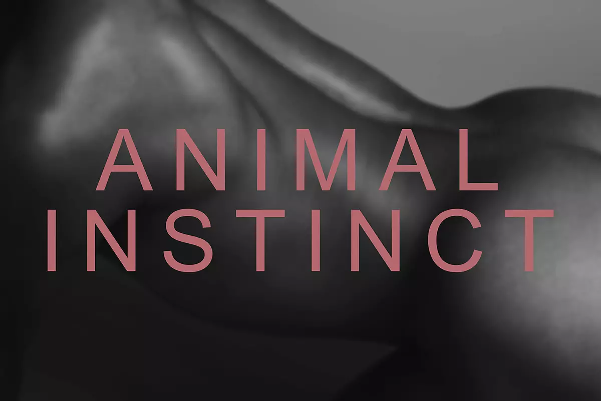 ANIMAL INSTINCT BY ERAN LEVI