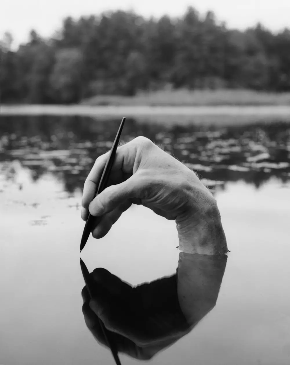 Den extraordinära riktiga fotograferingen av Arno Rafael Minkkinen (5)