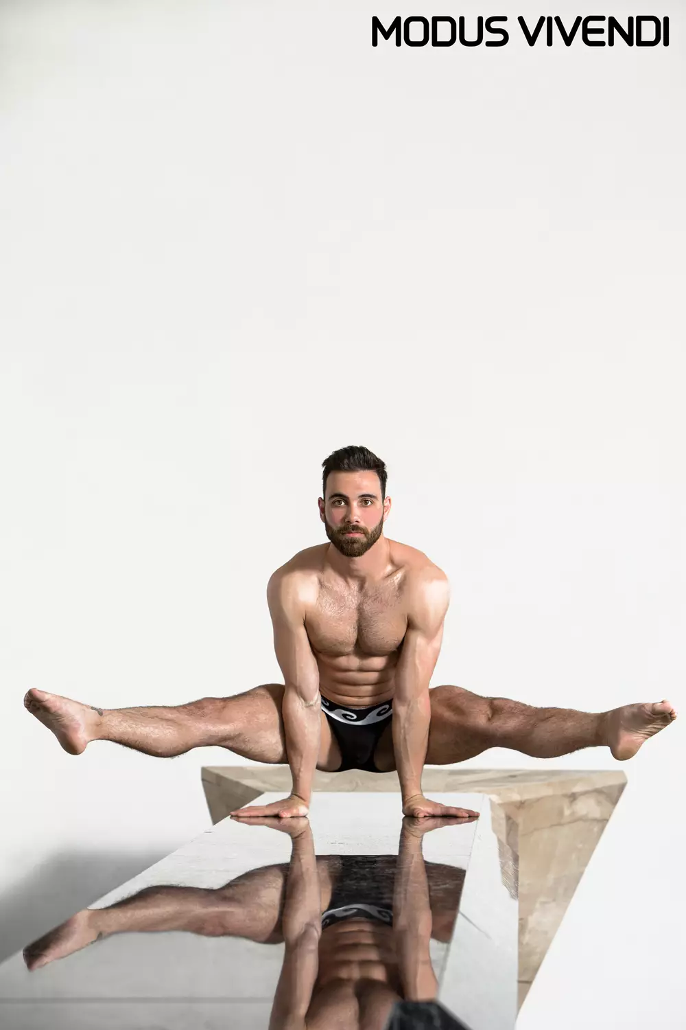 Modus Vivendi Iconic Line con logo (2)