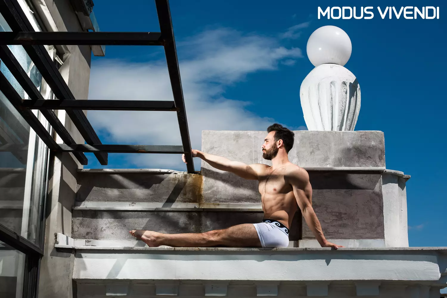 Modus Vivendi Iconic Line con logo (5)