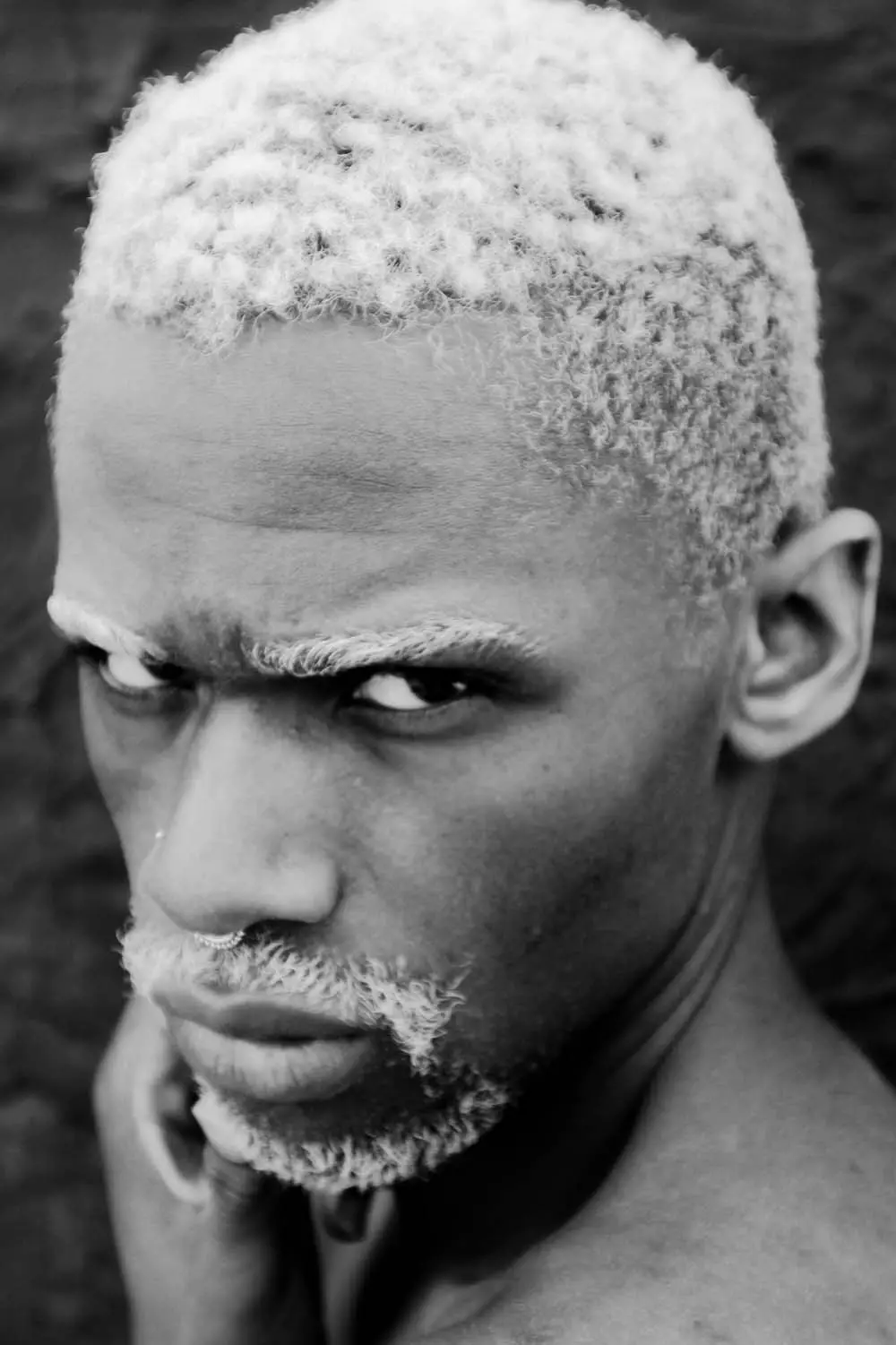 I-Chase Model Management yethula i-Faces Barquail entsha ngomthwebuli wezithombe u-LloytheAbstrac.