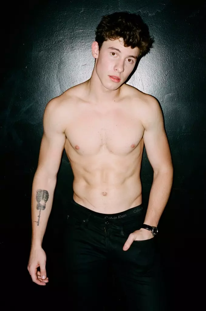 Shawn-Mendes-for-flaunt-žurnalas-2016 m. gruodžio mėn