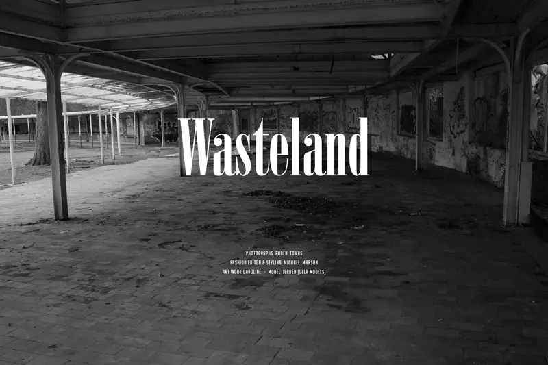 Wasteland_fy_2