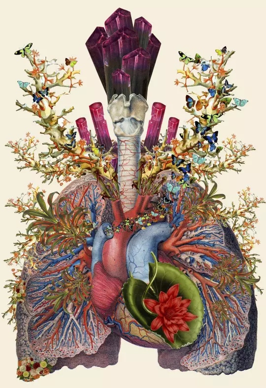 Mixed media-konstnären Travis Bedel komponerar fantastiska symboliska collage, som kombinerar anatomiska illustrationer med en stark sammansmältning av blommor. Bedels surrealistiska collage representerar liv och energi i hans arbete och är begreppsmässig och fysisk skönhet. De symboliserar samexistensen mellan natur och mänsklighet. Du kan köpa hans verk på Society6 och Etsy.