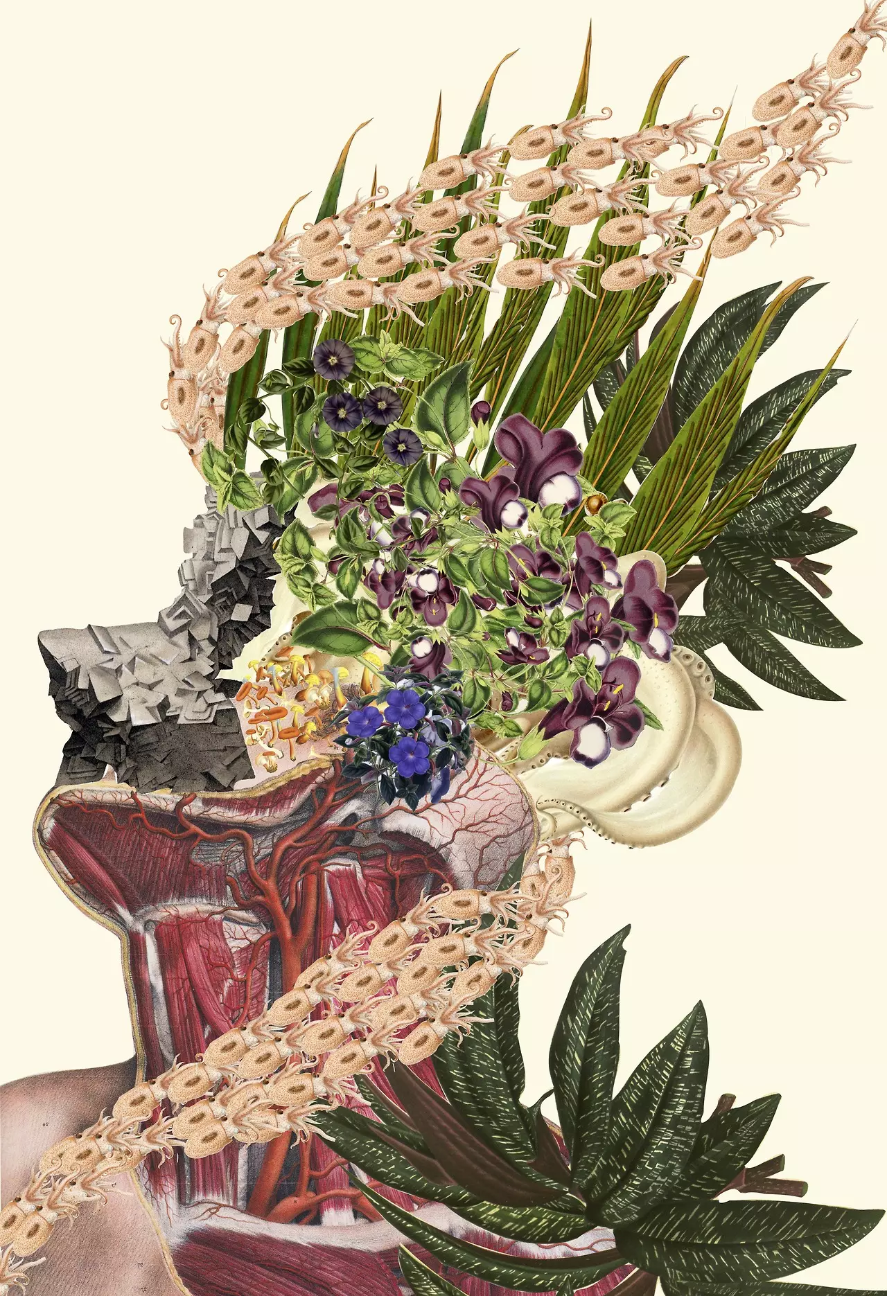 L'artiste de techniques mixtes Travis Bedel compose de superbes collages symboliques, qui combinent des illustrations anatomiques avec une forte fusion de fleurs. Représentant la vie et l'énergie dans son travail, les collages surréalistes de Bedel sont d'une beauté conceptuelle et physique. Ils symbolisent la coexistence entre la nature et l'humanité. Vous pouvez acheter son travail sur Society6 et Etsy.