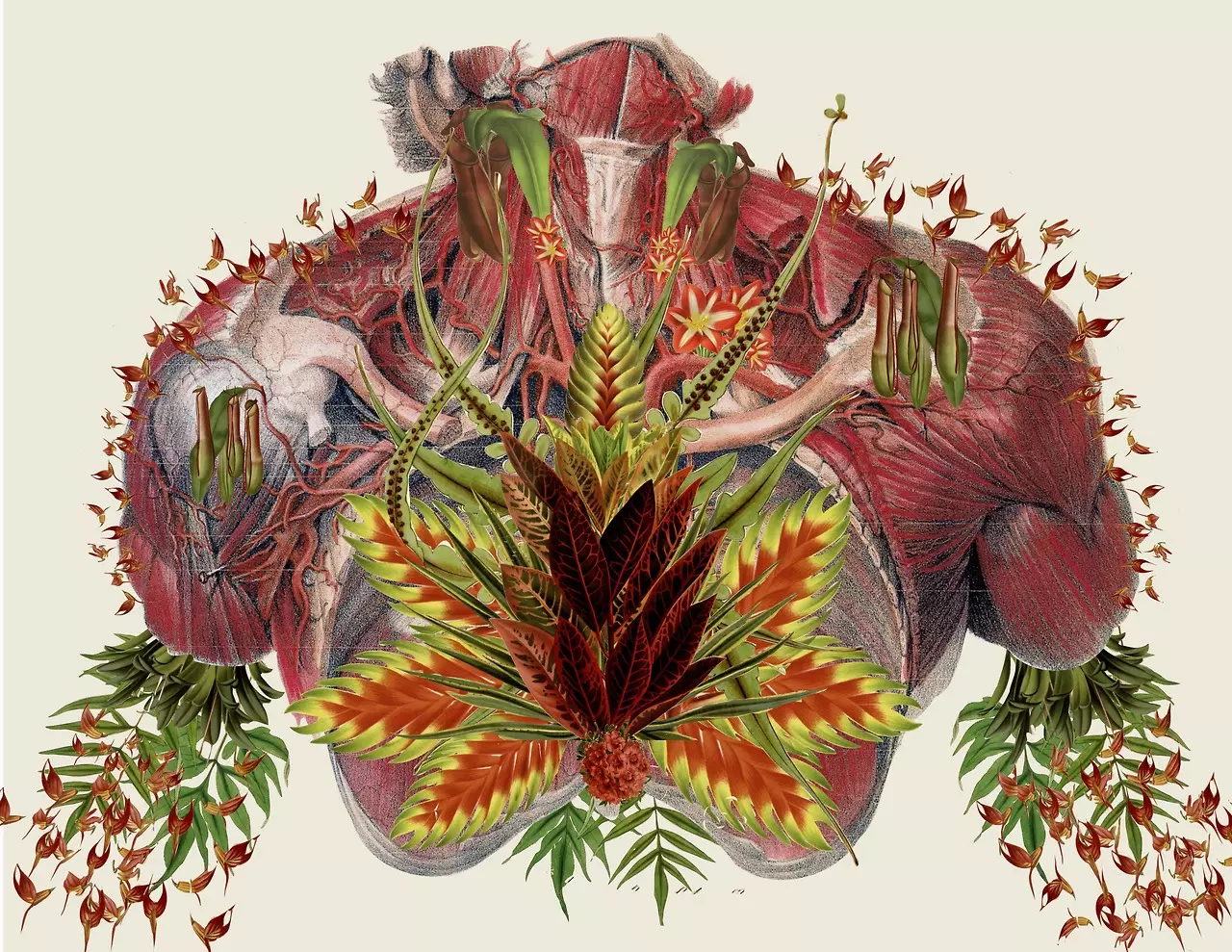 Mikskomunikila artisto Travis Bedel verkas mirindajn simbolajn glumozaikojn, kiuj kombinas anatomiajn ilustraĵojn kun forta fandado de floroj. Reprezentante vivon kaj energion en lia laboro, la superrealaj glumozaikoj de Bedel estas koncipe kaj fizike beleco. Ili simbolas la kunvivadon inter naturo kaj homaro. Vi povas aĉeti lian verkon ĉe Society6 kaj Etsy.