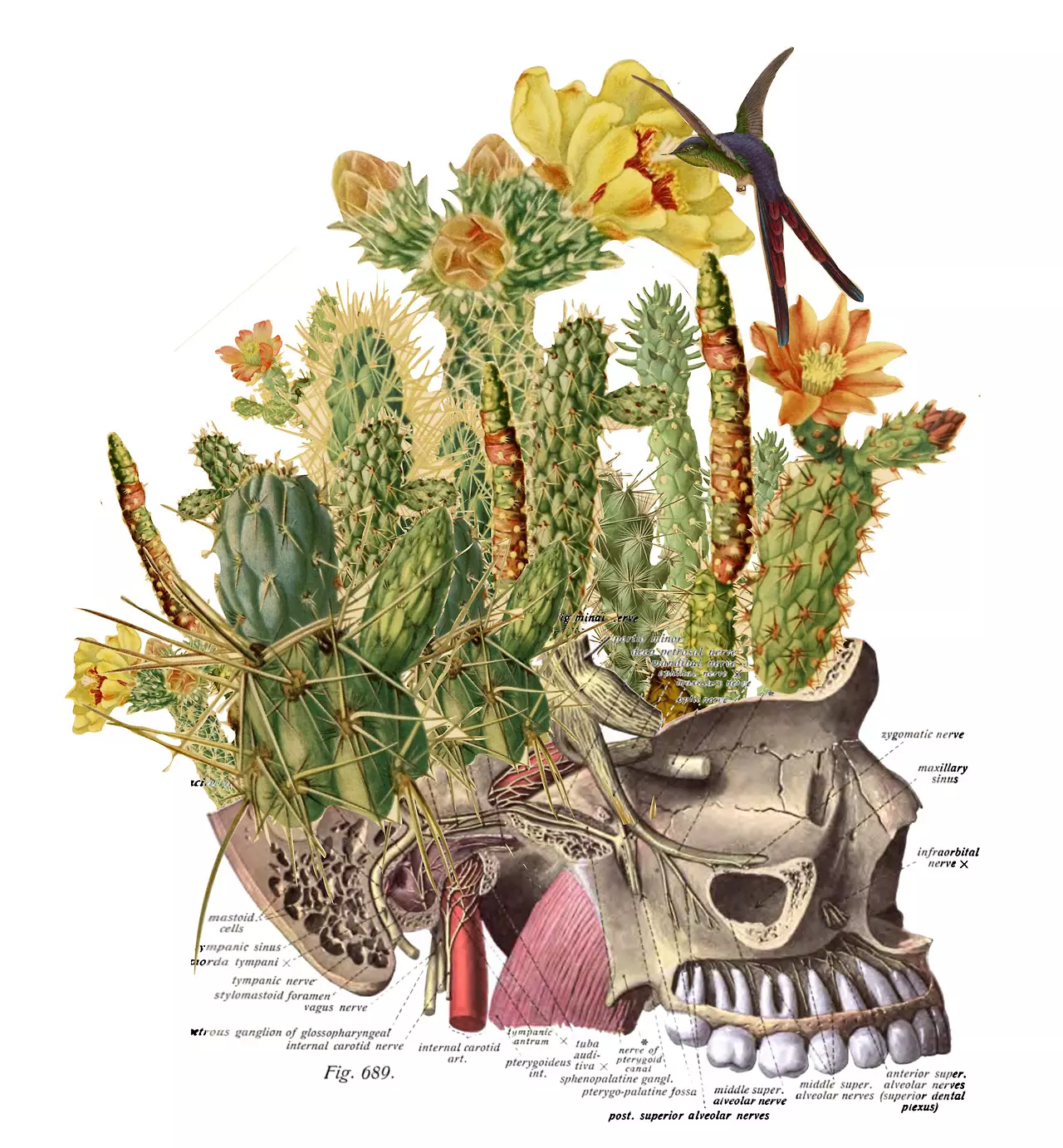 Setaki sa mecha ea litaba e tsoakiloeng Travis Bedel o etsa li-collages tsa tšoantšetso tse makatsang, tse kopanyang litšoantšo tsa anatomical le motsoako o matla oa lipalesa. E emela bophelo le matla mosebetsing oa hae, li-collage tsa Bedel surreal li ntle ka maikutlo le 'meleng. Li tšoantšetsa ho ba 'moho pakeng tsa tlhaho le botho. O ka reka mosebetsi oa hae ho Society6 le Etsy.