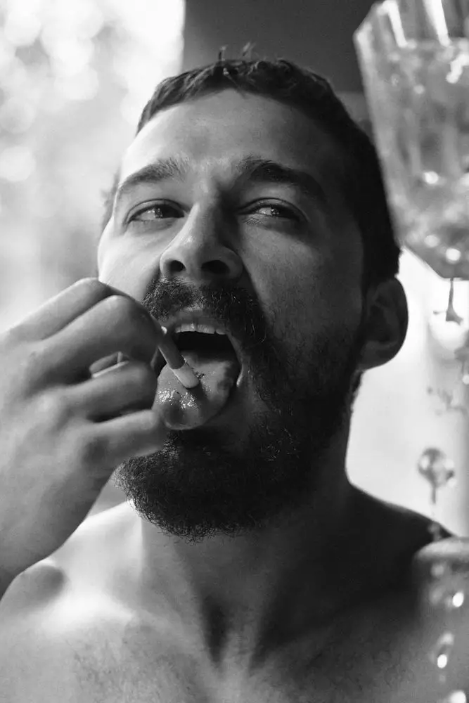 img-shia-labeouf_204548720667