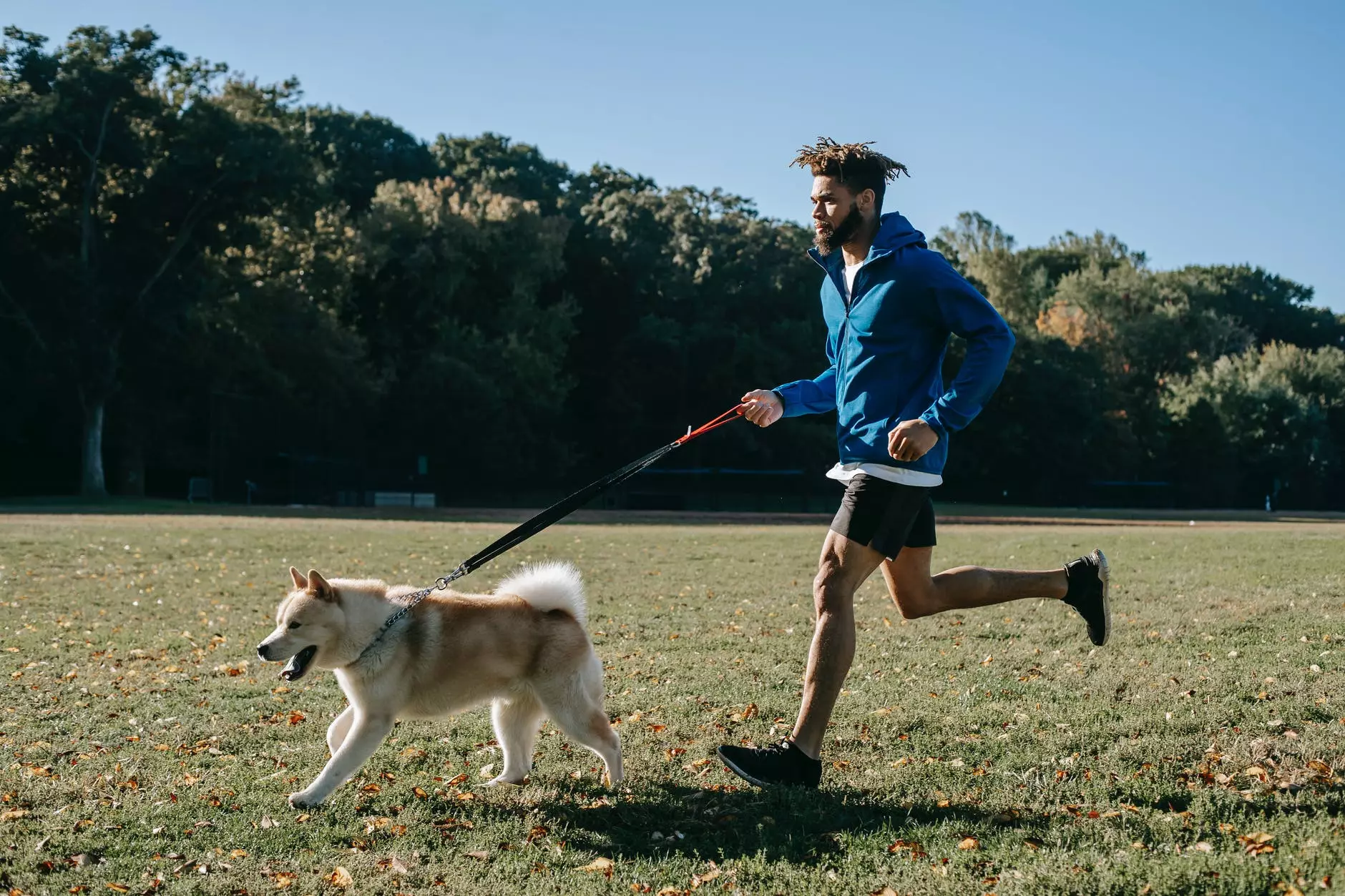 homem ativo treinando com cachorro. Foto de Zen Chung em Pexels.com