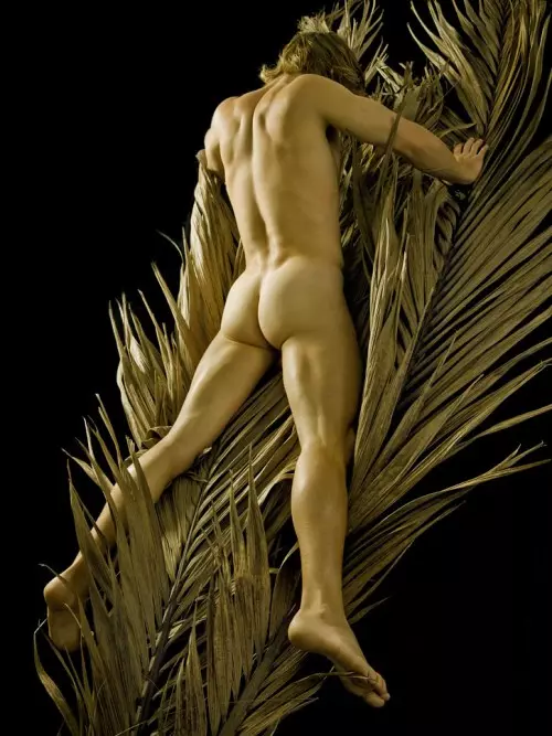 Jungle Fever pa David Vance 31654_25