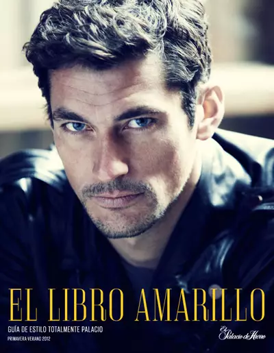 DAVID GANDY Y EL LIBRO AMARILLO PALACIO DE HIERRO 3404_1