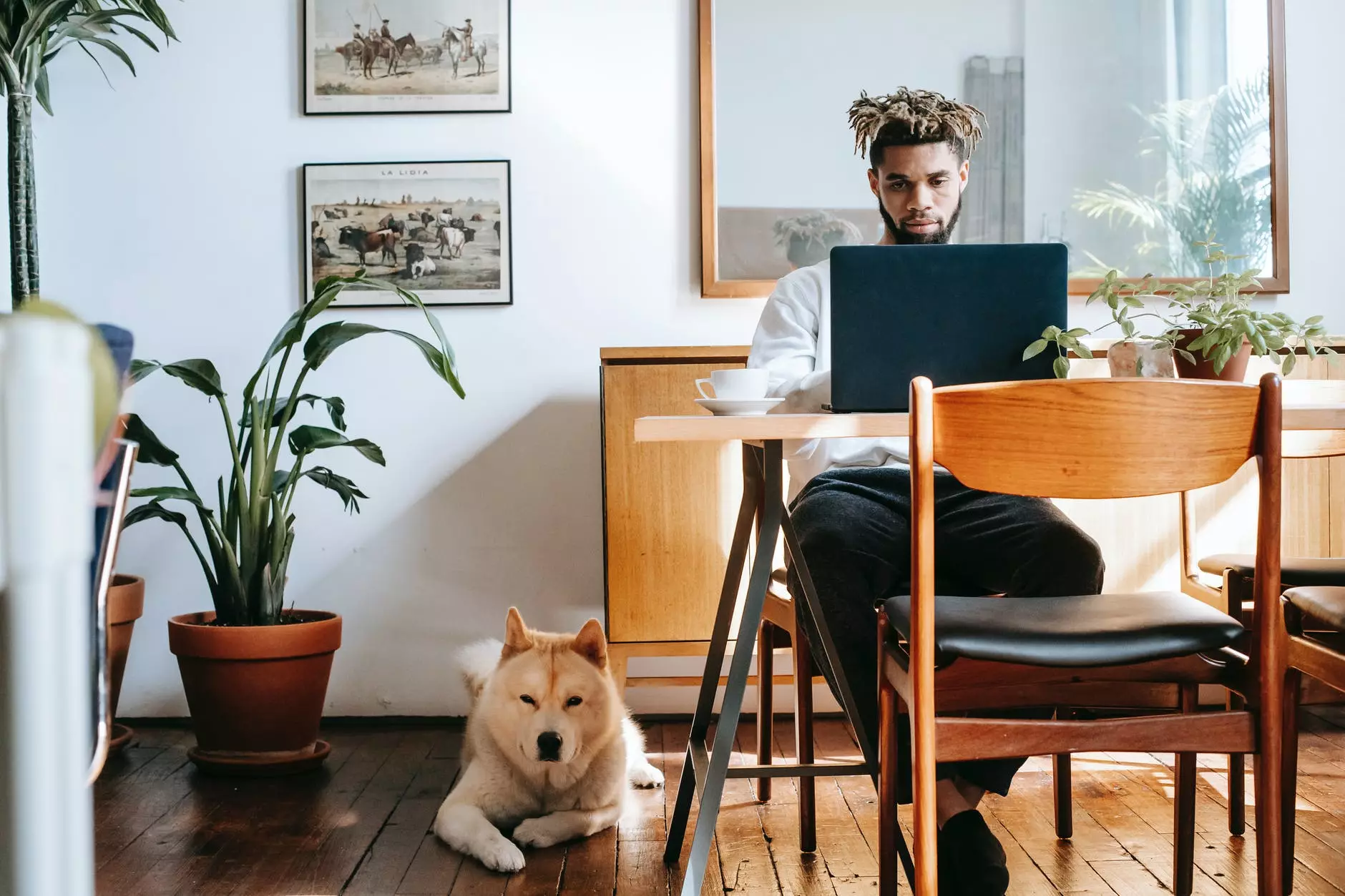 Hombre negro pensativo usando laptop mientras Akita Inu descansando en el piso