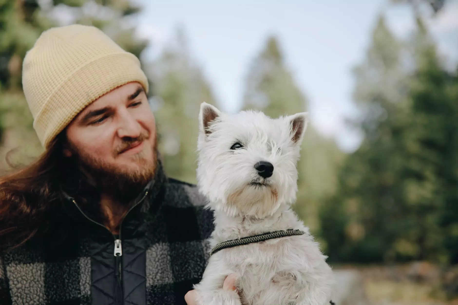 Homme portant une casquette en tricot crème tenant un mignon West Highland White Terrier