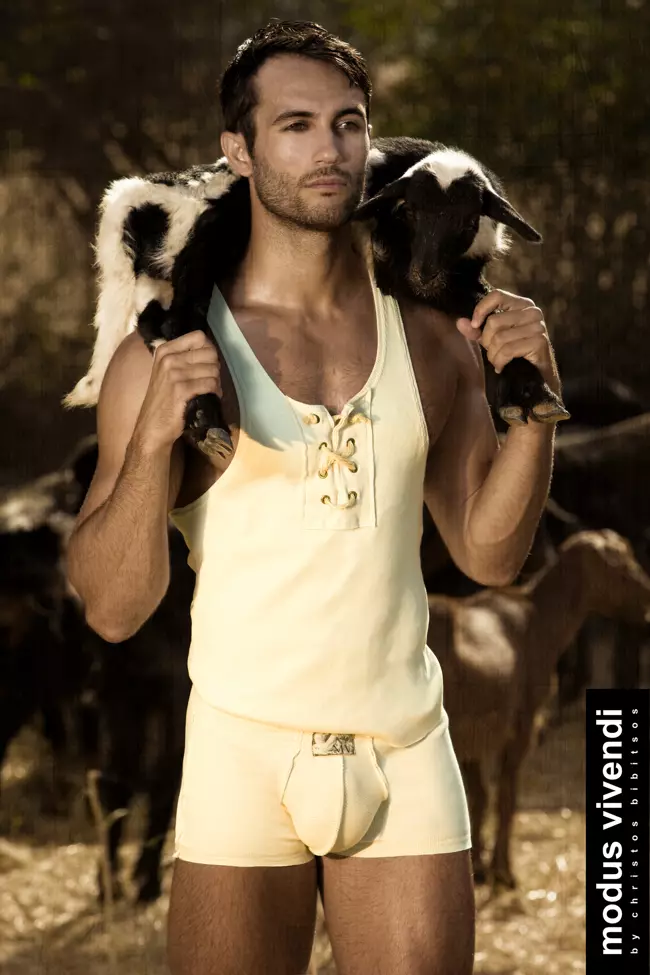 Modus Vivendi Shepherd línea 02