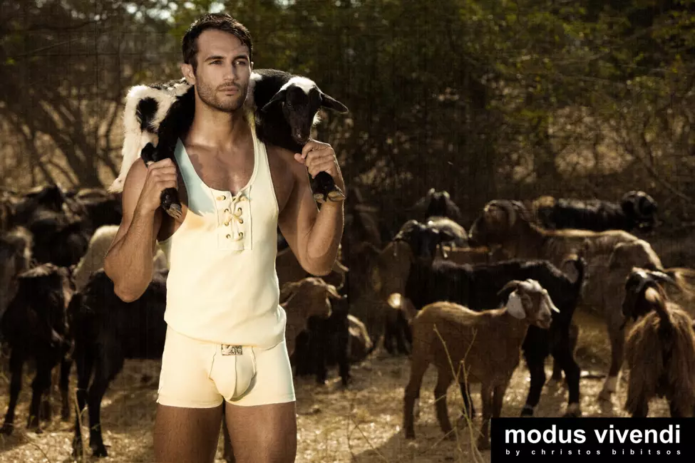 Modus Vivendi Shepherd line 03