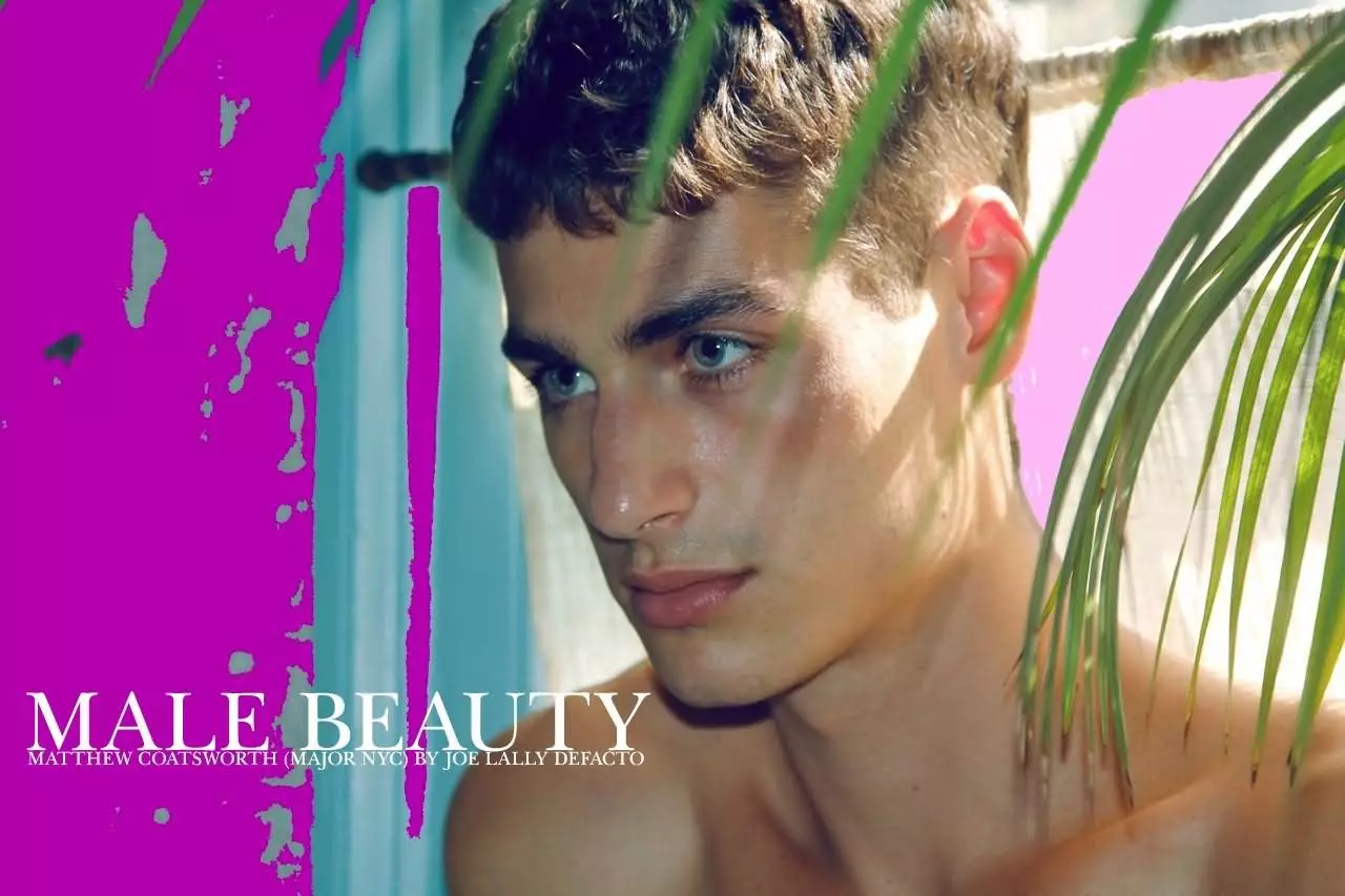 Matthew Coatsworth deur Joseph Lally