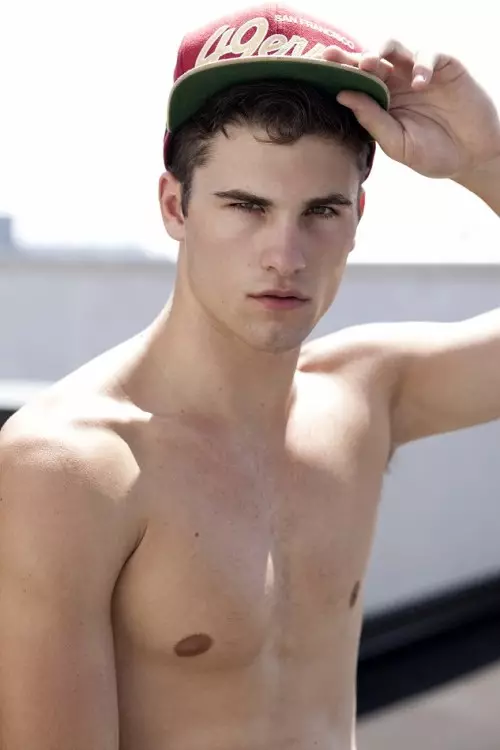 Tanner Dillon ka Greg Vaughan 4477_3