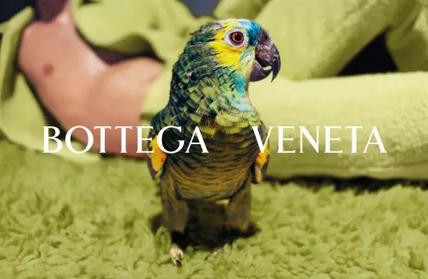 Bottega Veneta Lente 2021-veldtog