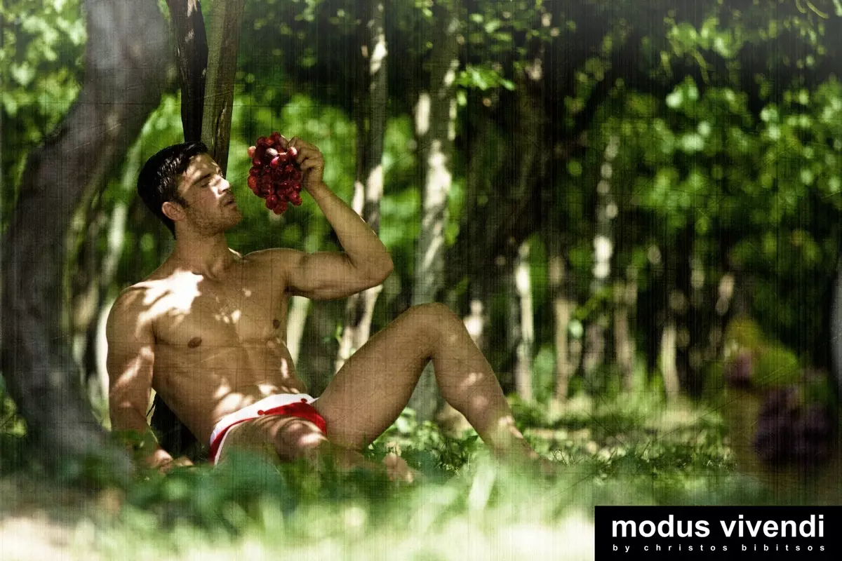 Modus Vivendi іш киімдер жинағы 2013 ж 4812_4