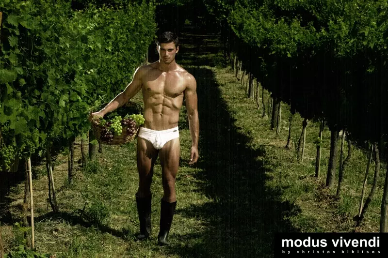 Modus Vivendi 內衣系列 2013 4812_5