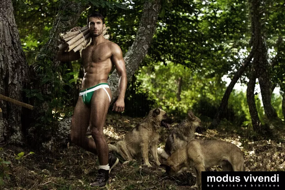 Συλλογή εσωρούχων Modus Vivendi 2013 4812_9