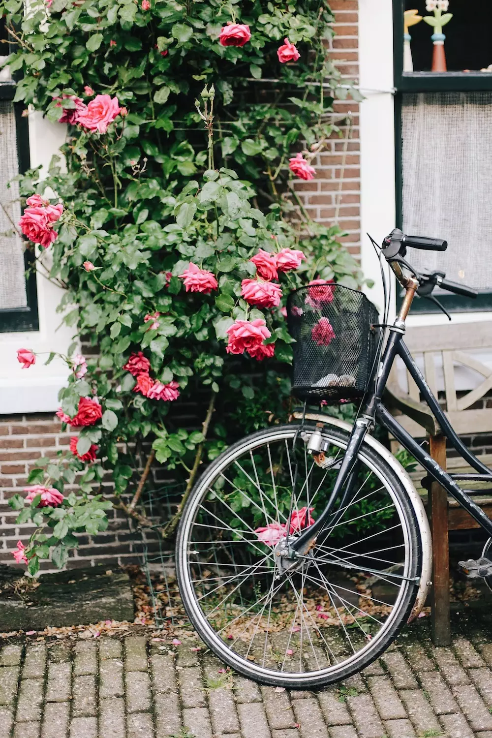 Quais são as principais causas de acidentes de bicicleta?