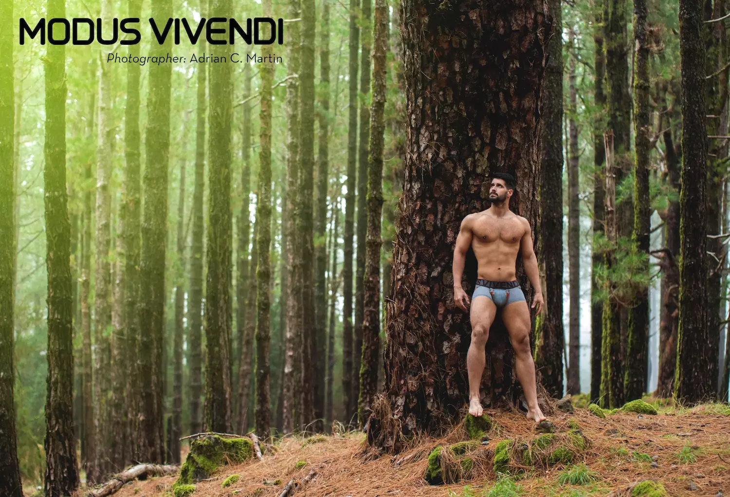 Modus Vivendi فخر محسوس ڪري رهيو آهي ته نئين سال جي شروعات پنهنجي 2015 جي مهم جي ڇهين حصي جي رليز سان ڪئي وڃي، جنهن ۾ ان جي نئين مجموعي مان هر هڪ قطار سڄي دنيا جي مختلف هنڌن تي پيش ڪئي وئي آهي ۽ هڪ چونڊيل فوٽوگرافر طرفان فوٽو گرافي ڪئي وئي آهي، جيڪو هن جي شاندار صلاحيتن جي ڪري مشهور آهي. ۽ منفرد انداز. دنيا جا پنج جڳهون جن جو اسان هينئر تائين دورو ڪيو آهي: ليسيسٽر، انگلينڊ (پرائيڊ لائين)، نيوپورٽ بيچ، يو ايس اي (ملٽري لائن)، ٿيسالونيڪي، يونان (ولف لائن)، ميڊرڊ، اسپين (بڌا لائين) ۽ ايڪس اين پروونس، فرانس (ماسائي لائن). ھاڻي اسان توھان کي اسپين ڏانھن واپس وٺي وڃون ٿا ۽ ان جي ڏاکڻين علائقن مان ھڪڙو، ڪينري ٻيٽن ۾ Tenerife، جتي شاندار فوٽوگرافر Adrian C. Martin نئين Modus Vivendi Bear Line جو فوٽو ڪڍيو آھي. ان جي قدرتي خوبصورتي لاءِ مشهور، هي مقام فوٽوگرافر پاران فران اوٽرو سان سندس سيشن لاءِ پٺاڻ طور چونڊيو ويو. مارٽن مردانگي سان ڀريل هڪ شوٽ پيدا ڪري ٿو، جيڪو مثالي طور تي بيئر لائن سان ٺهڪي اچي ٿو: مضبوط، سيڪسي ۽ اڃا تائين ساڳئي وقت پرامن. بيئر لائن پاڻ، جنهن ۾ نوان انڊر ويئر ۽ راندين جا ڪپڙا شامل آهن ٻن ٽون گري (لائيٽ گري ۽ ڪاربن گري) ۾ نارنگي ۽ ڳاڙهي جي اشارن سان، هڪ لڪير آهي جيڪا انسان جي بهترين اثاثن کي اجاگر ڪرڻ لاءِ وقف ڪئي وئي آهي. نوٽ Modus Vivendi جو نئون انڊرويئر وڌائڻ تي، ٽن مختلف ڪٽن سان. هتي پڻ هڪ خوبصورت آستين وارو، هينلي طرز جي قميص ۽ نئين، انتهائي آرامده سوئيٽ شارٽس آهي. اهي سڀ جديد ڊزائينون آهن، اڻ ڄاڻايل ڪلاڪن جي جاچ جو نتيجو، نه رڳو ڪاغذن تي، پر حقيقي ماڊلن تي پڻ، ۽ يقينا، پيداوار جيڪا ڪنهن کان به ٻي نه آهي. ڪريڊٽ انڊر وير ۽ ڪپڙا: موڊس ويويندي (www.e-modusvivendi.com) فوٽوگرافر: ايڊرين سي مارٽن (http://www.adriancmartin.com) ماڊل: فران اوٽيرو اسسٽنٽ: ڊيوڊ ڊياز، سرجيو ڊيل پينو مقام: ٽينيرف، ڪينري ٻيٽ، اسپين